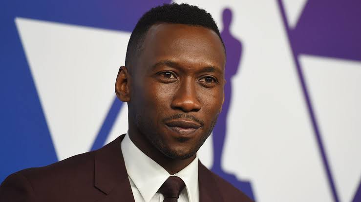 Ali: a Marvel Blade-előkészületei részben az új akciófilmjét finanszírozták
